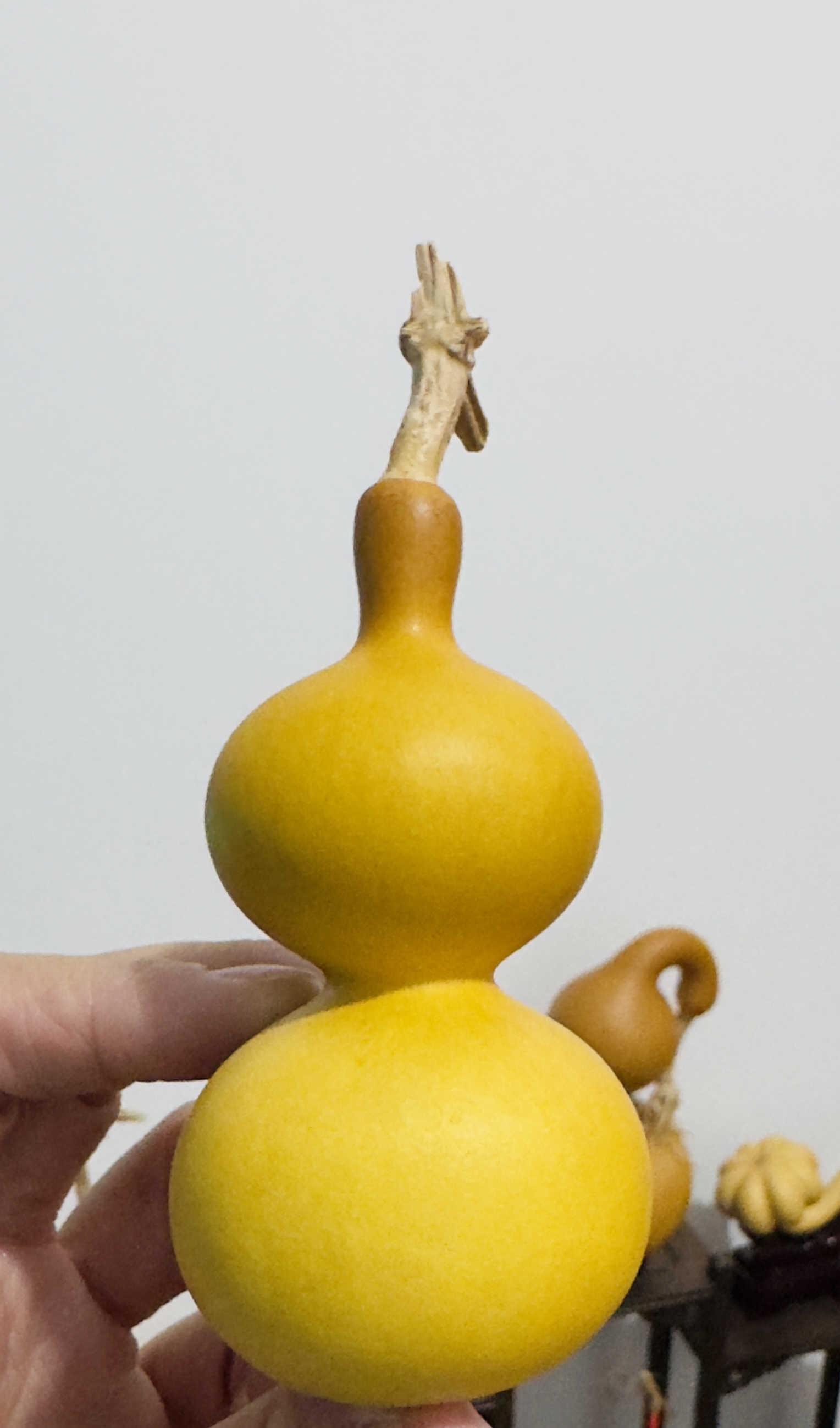 天然带龙头小葫芦手把件文玩盘玩优选传统福禄葫芦