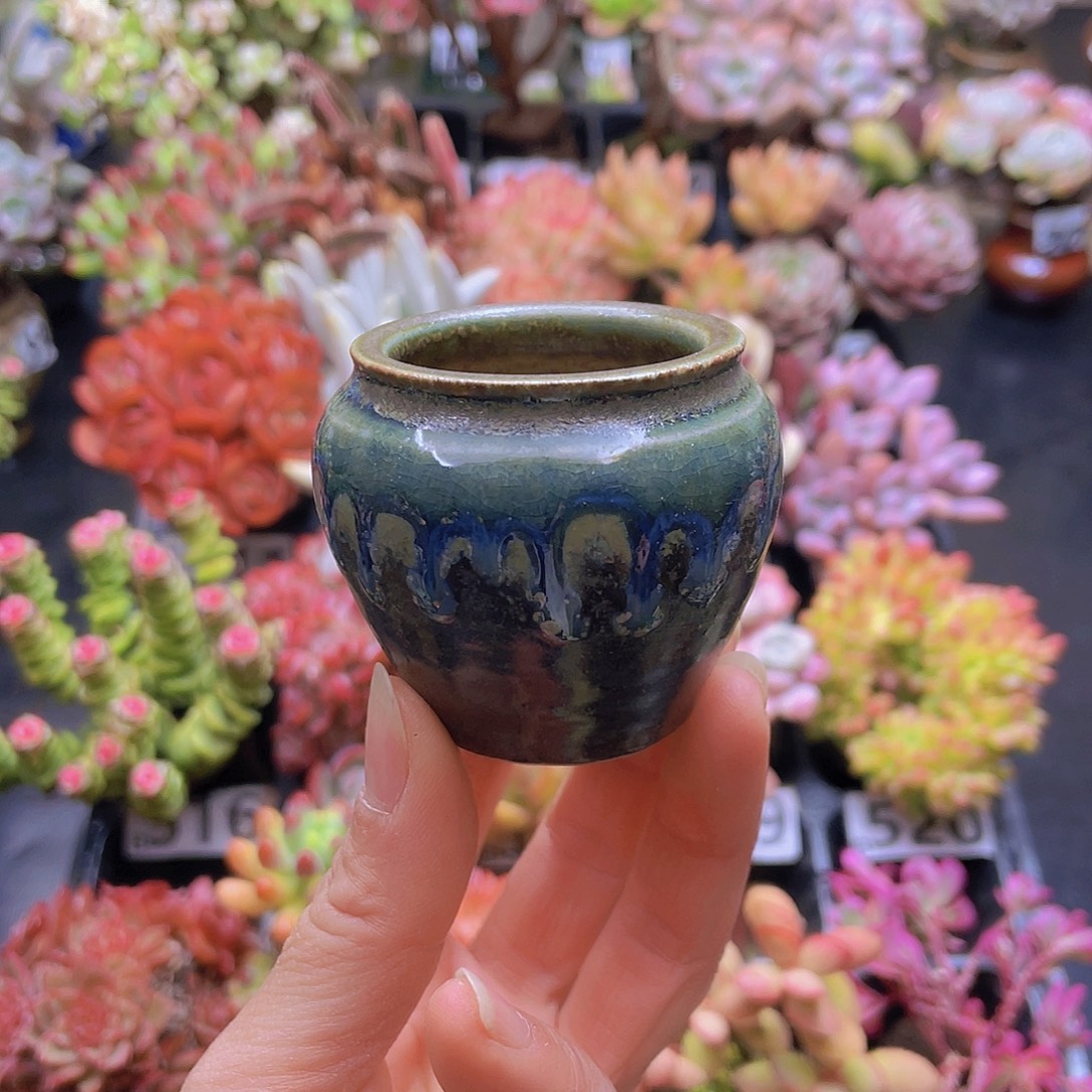 花钱花钱花钱花钱和我