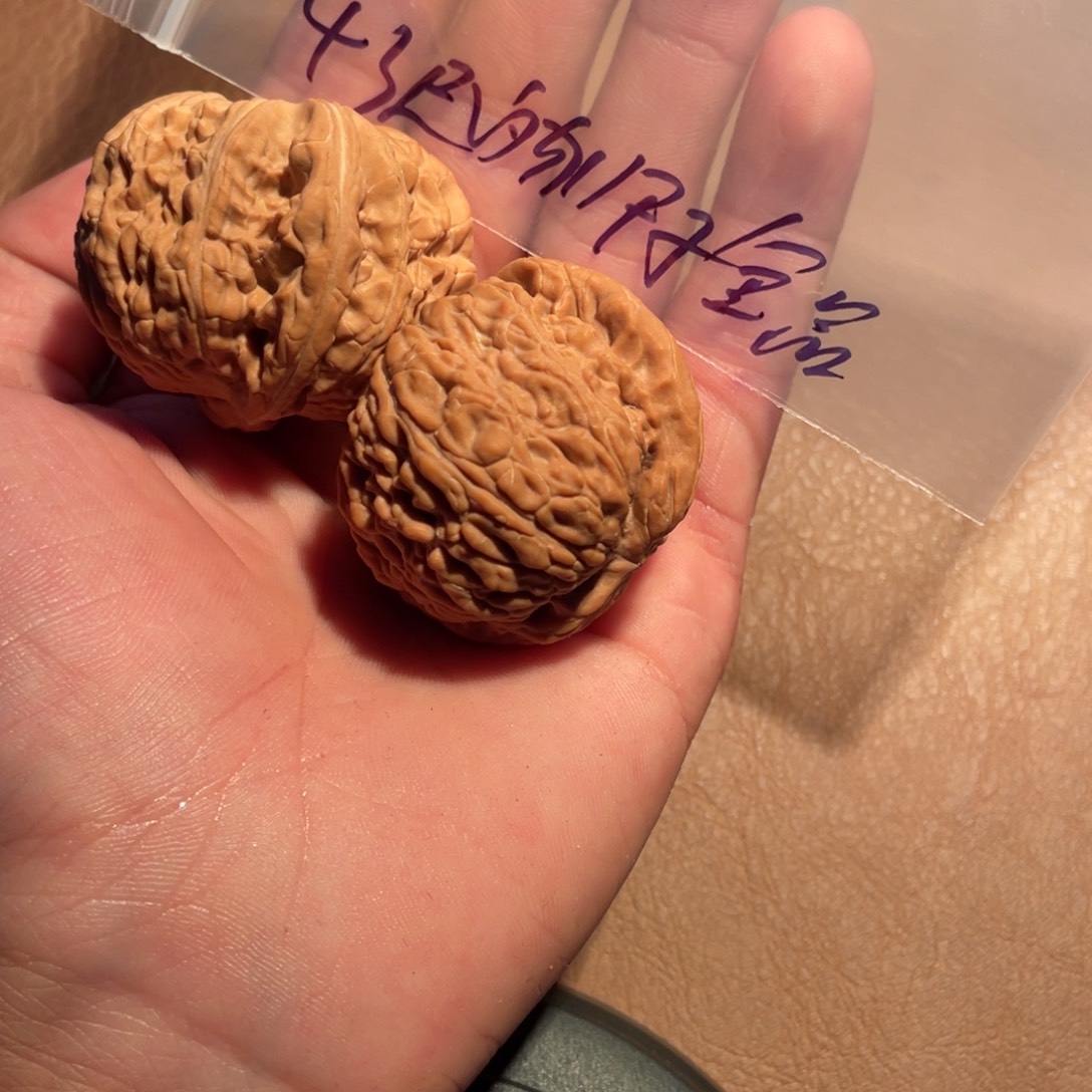 核桃手串/手链067
