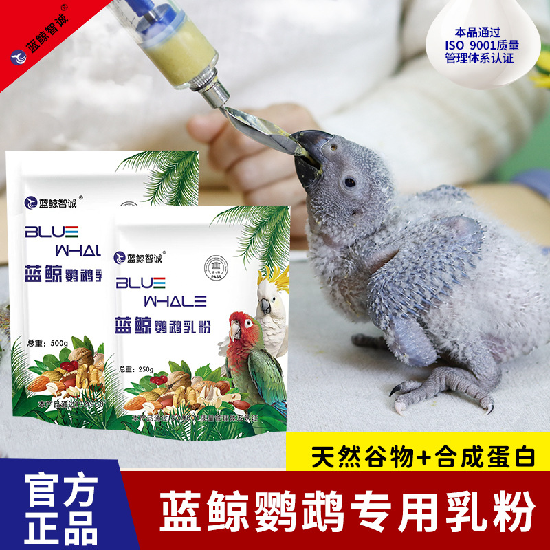鹦鹉奶粉蓝鲸虎皮牡丹玄风幼鸟零天手养营养食物乳粉饲料雏鸟食品