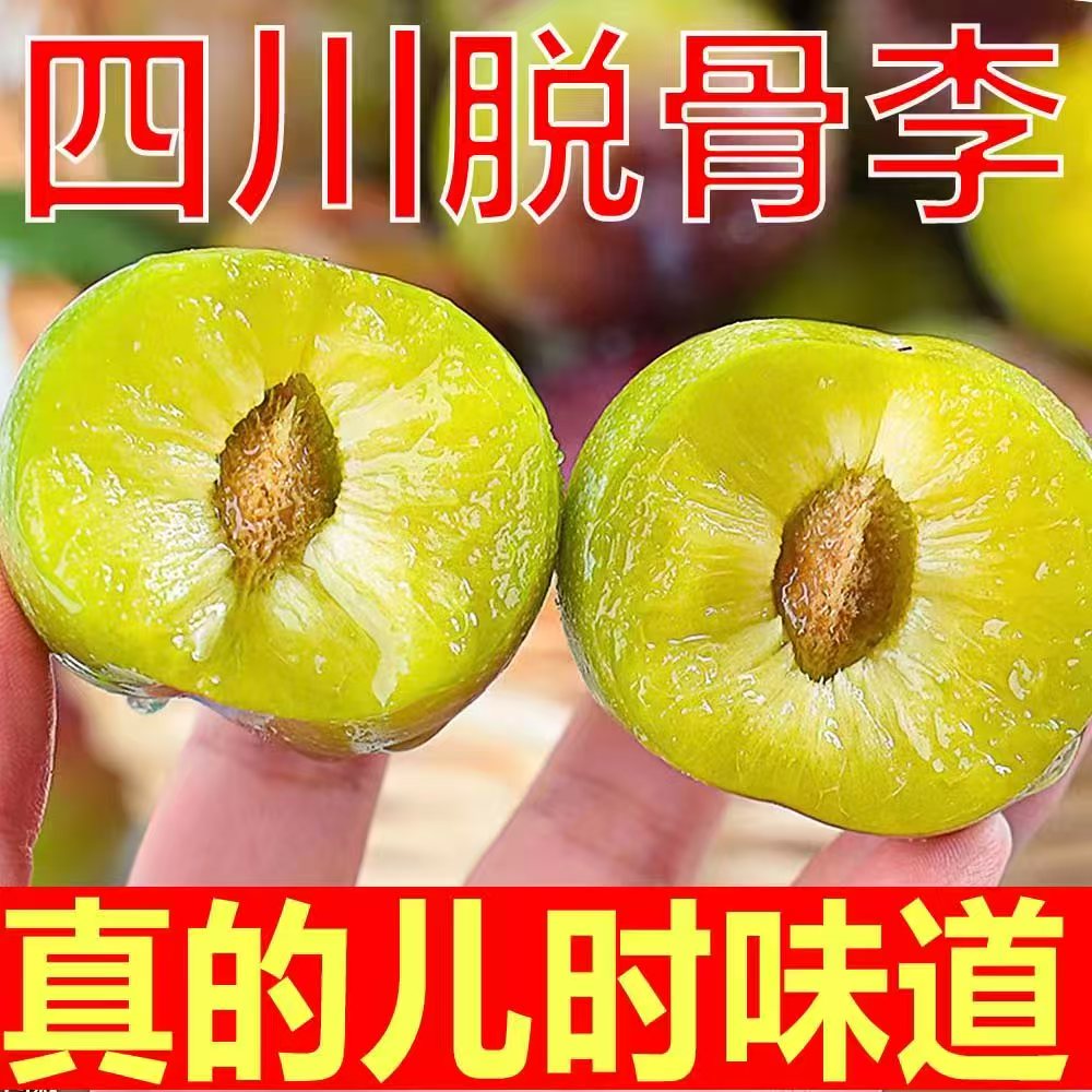 【今天拍明天到】四川脱骨李 半边红 甜度高 不涩口 皮微酸肉纯甜 汁水多李子同城送四川省