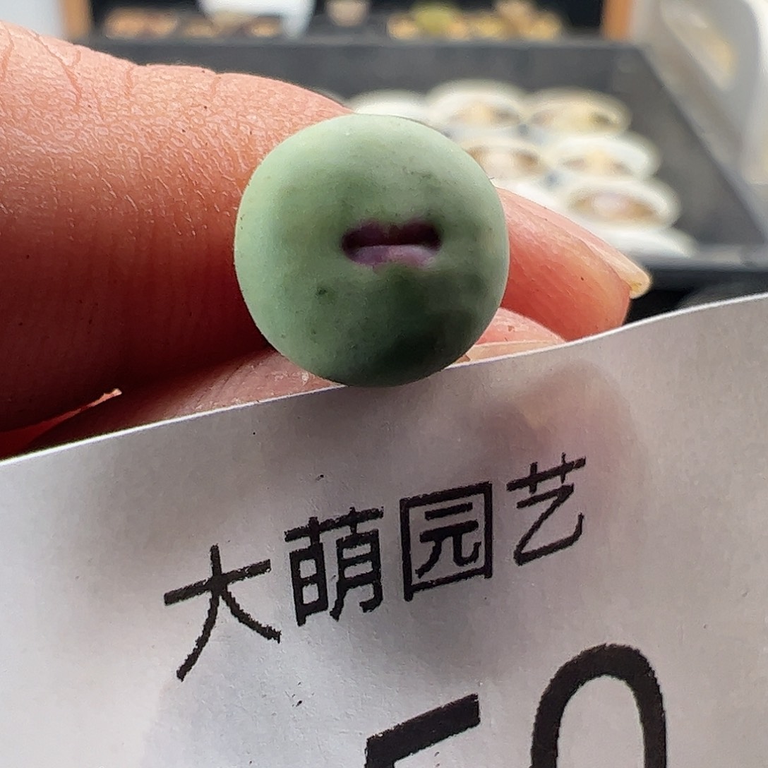 一物一拍M4×D6.  750