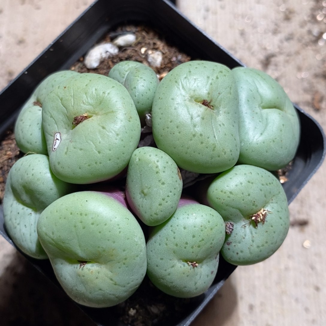 11143一个一个一个