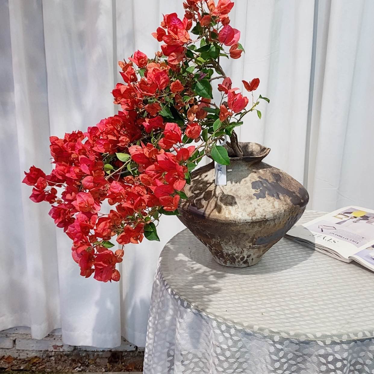 【闪购商品】完全开放噂*暗夕