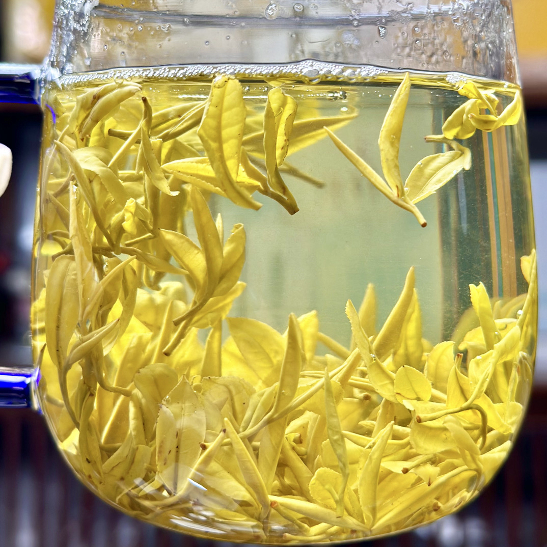 {回馈款}明前黄金芽 豆香 入口回甘清甜 安吉母树核心产区《B108》