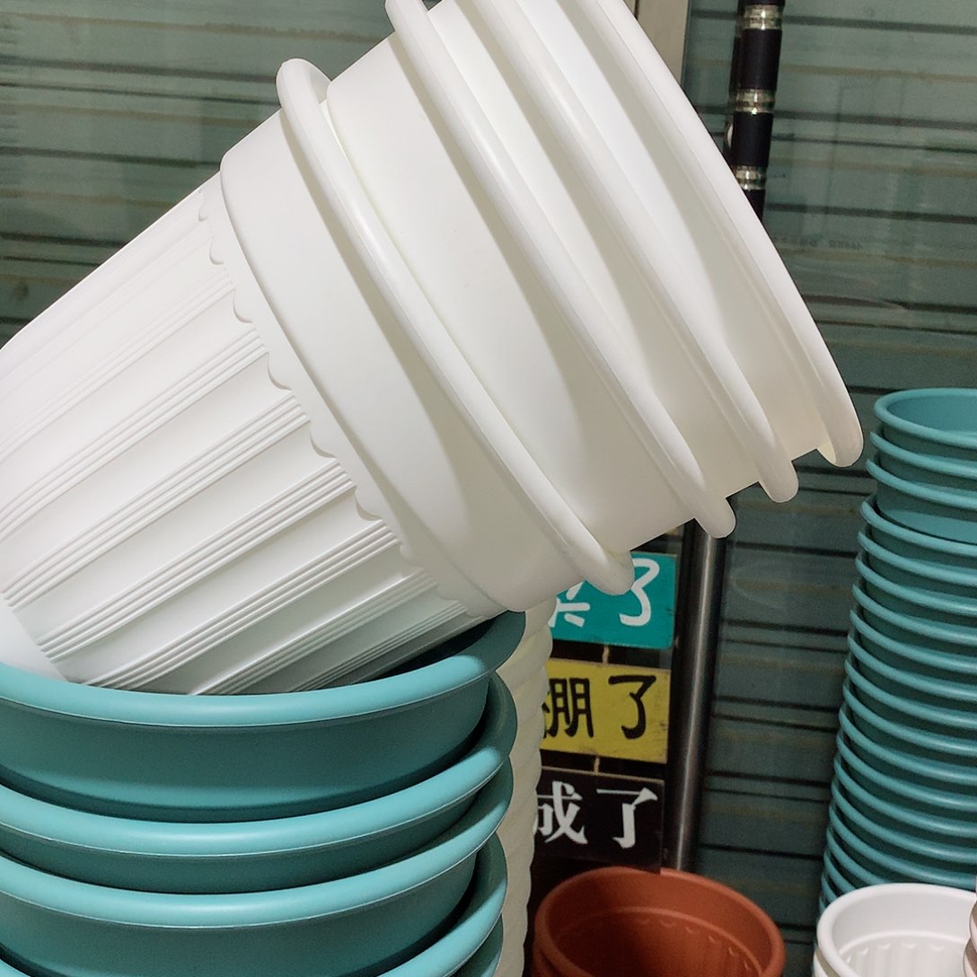 树脂罗马口28白4个无托