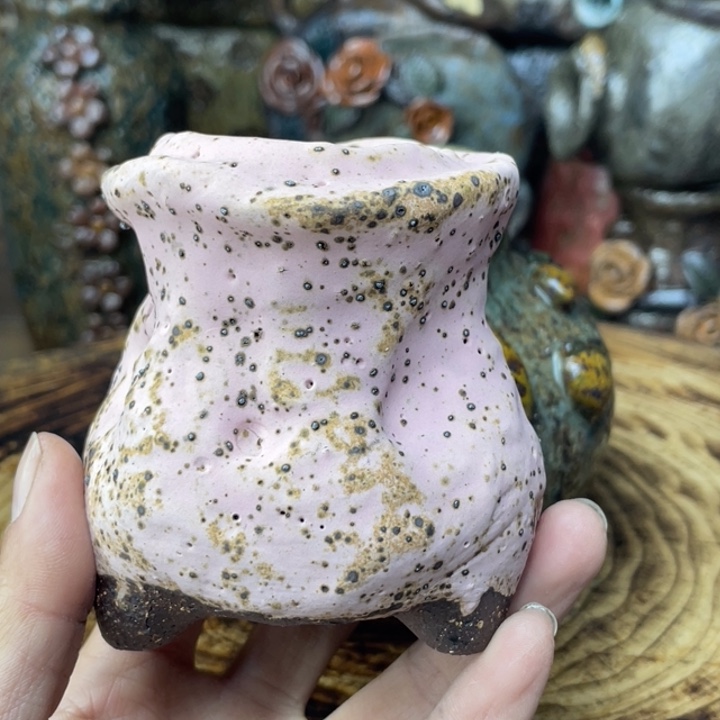 老***5陶瓷制品不退不换