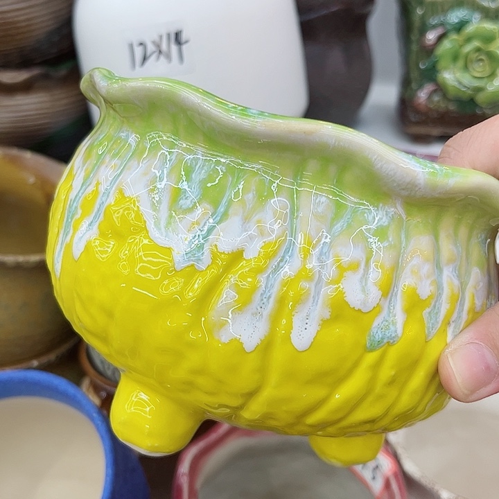 多肉植物陶瓷花盆