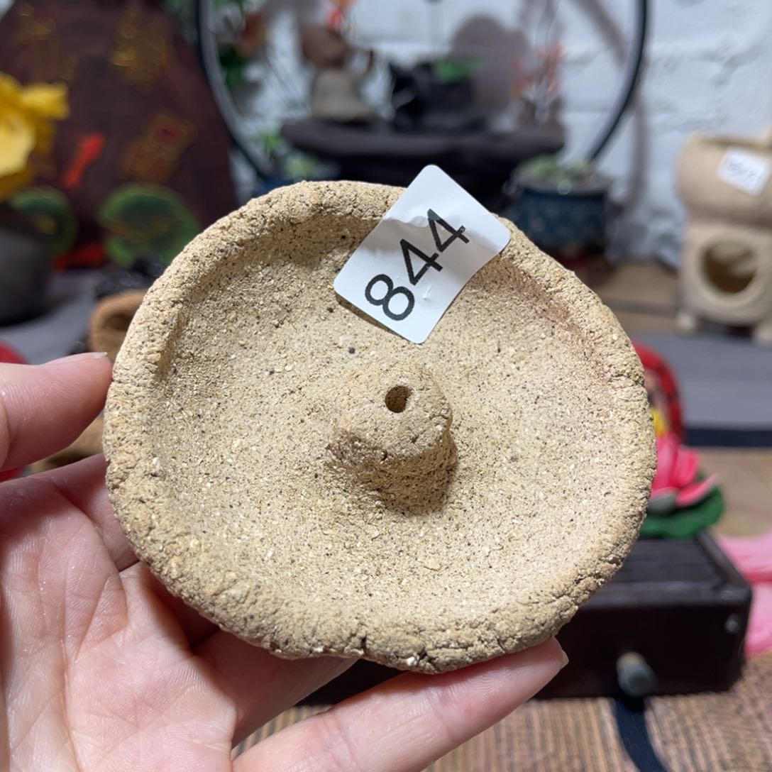 木村信弘柴烧保平