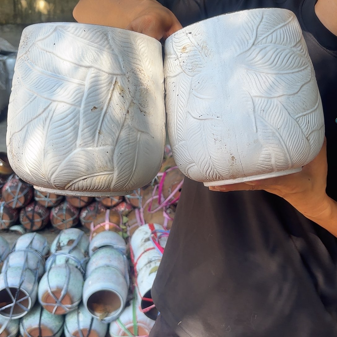 白芭蕉叶两个口径19高度21