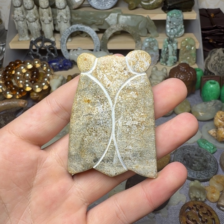 直播放漏专属链接