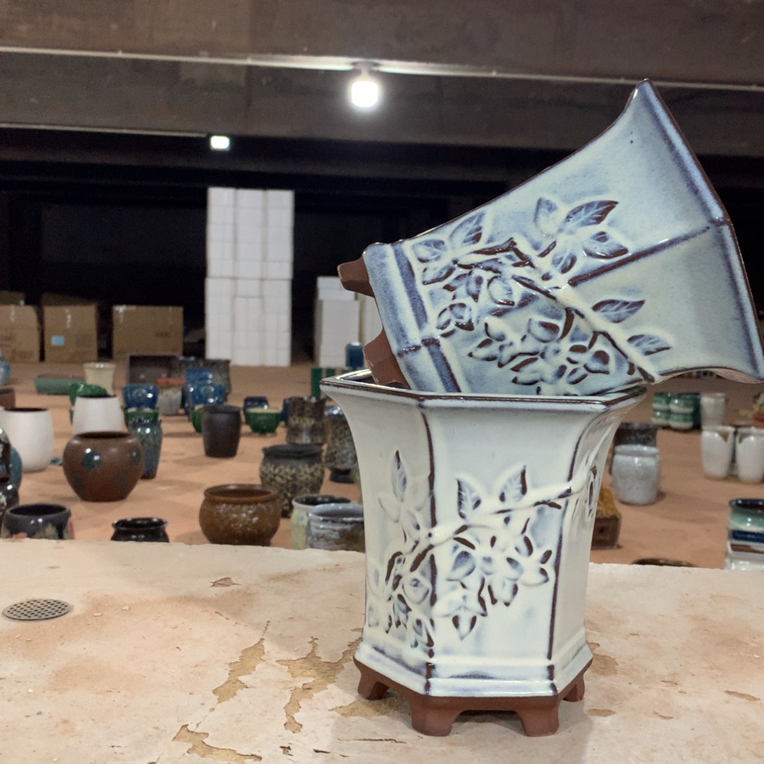 花盆啦啦啦啦啦啦啦啦啦