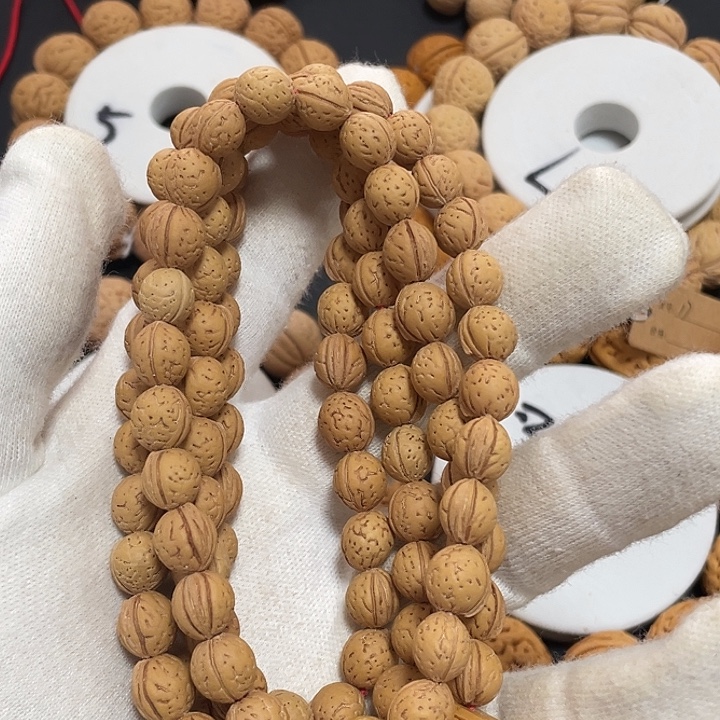 S***y108野生桃核，一物一图