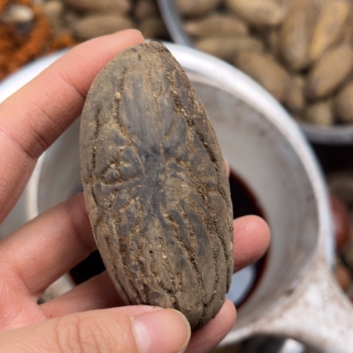 千眼菩提吊坠千眼菩提 119 号。