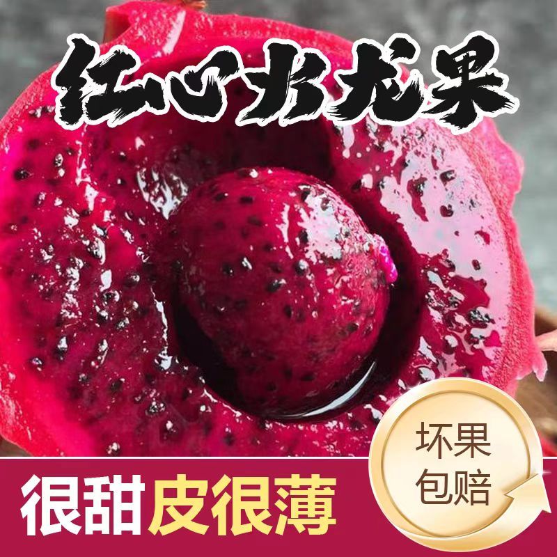 红心火龙果树上自然成熟口感软糯清甜皮薄肉厚当季新鲜水果