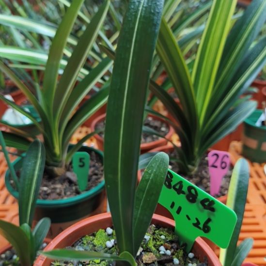 完全开放11111111111