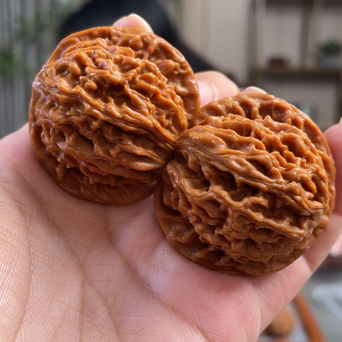 桃核把件44×38尺精修打底盘龙纹狮子头CN0935已打底