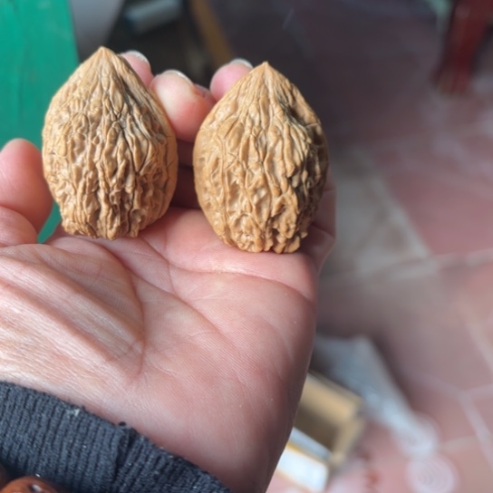一***行木质野生籽麻核桃