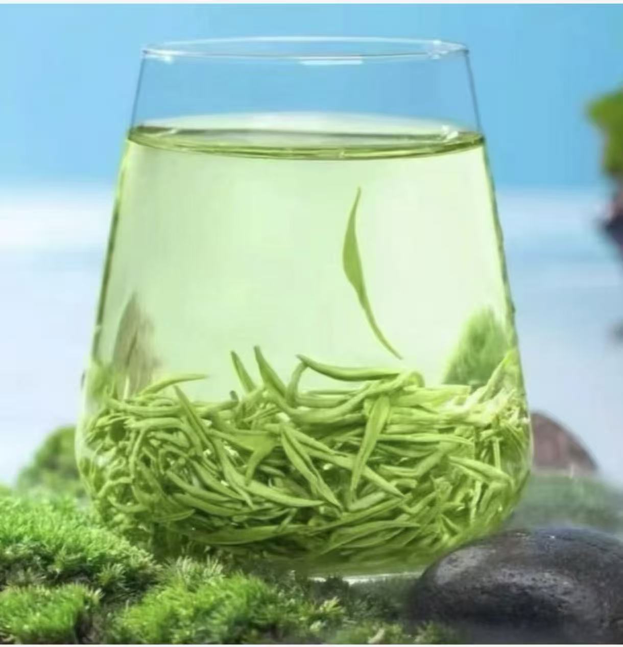 【买半斤送半斤】毛尖2025今年新茶绿茶浓香毛尖茶叶毛尖