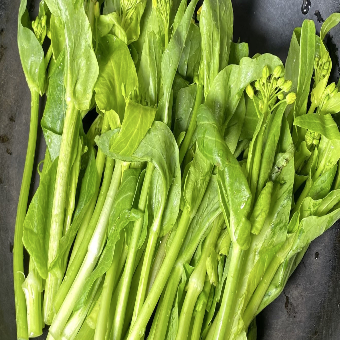 广西桂林甜菜心菜苔露天种植施农家肥不打农药新鲜采摘应季蔬菜