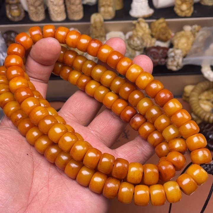 驼骨其他人工养殖