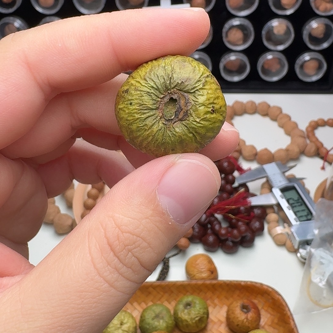 吊坠凤眼菩提青皮