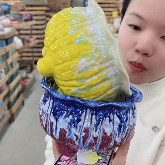 红陶花盆直播间价格的价格