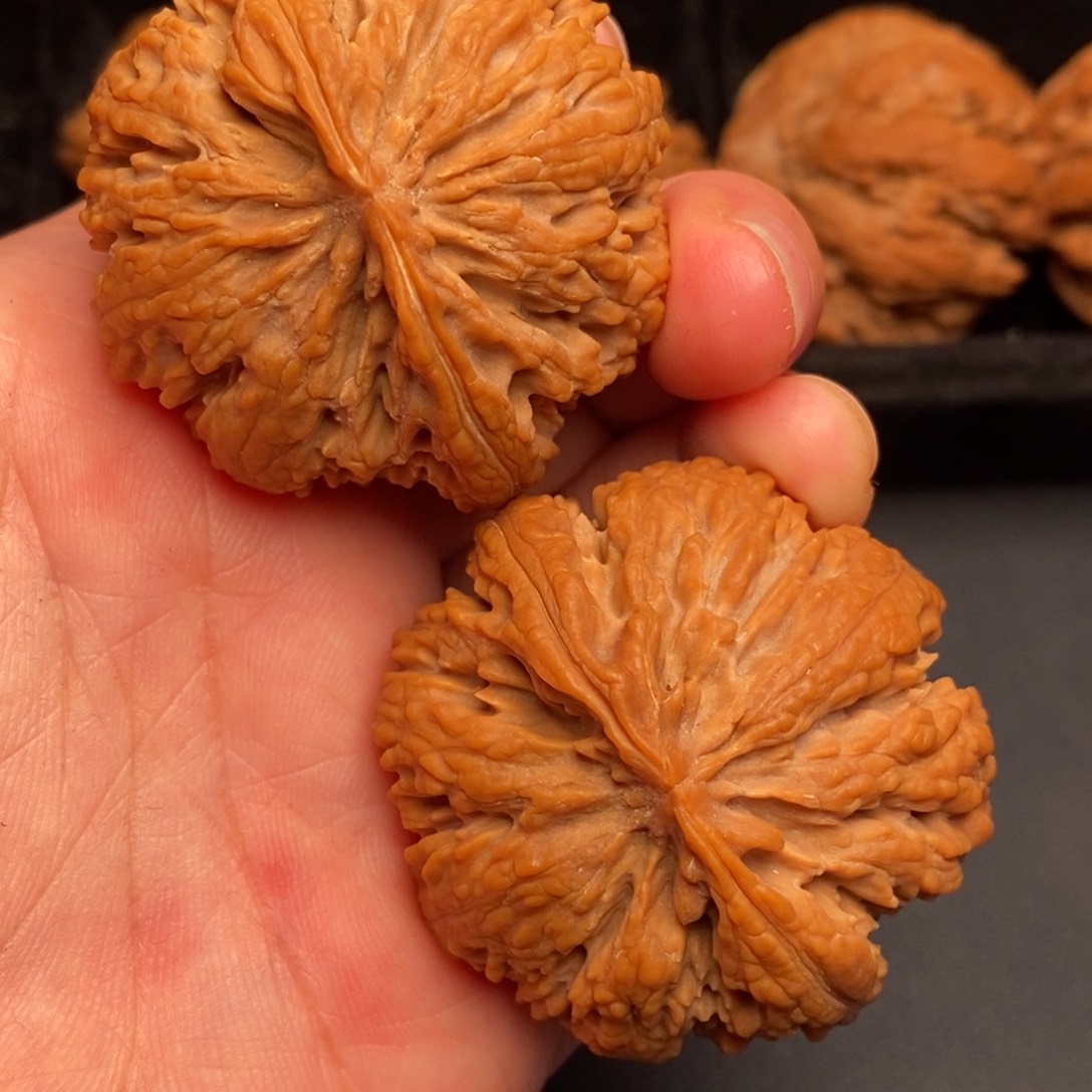 文玩核桃把件秦岭野生核桃