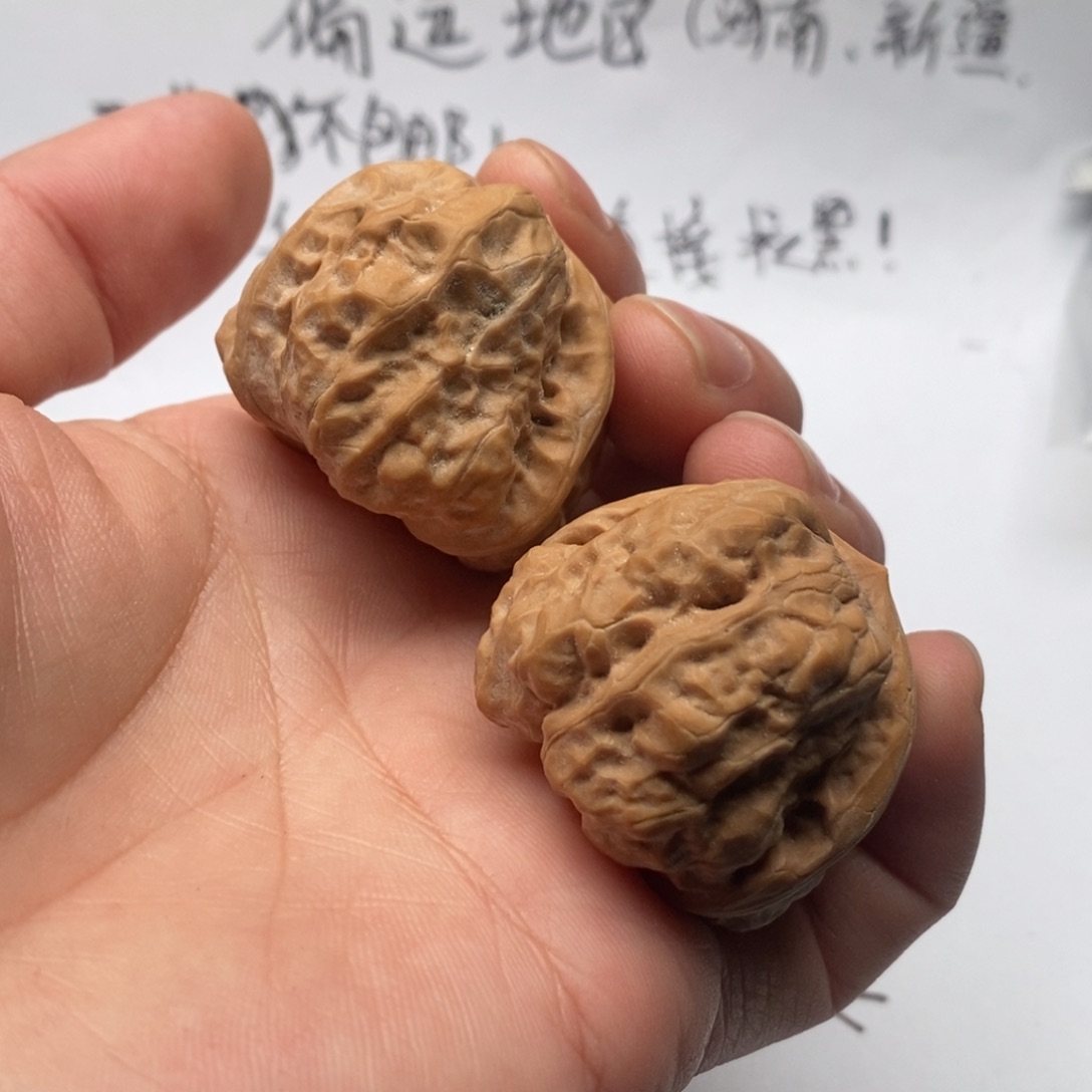 心***党好的我真的是好喜欢这个
