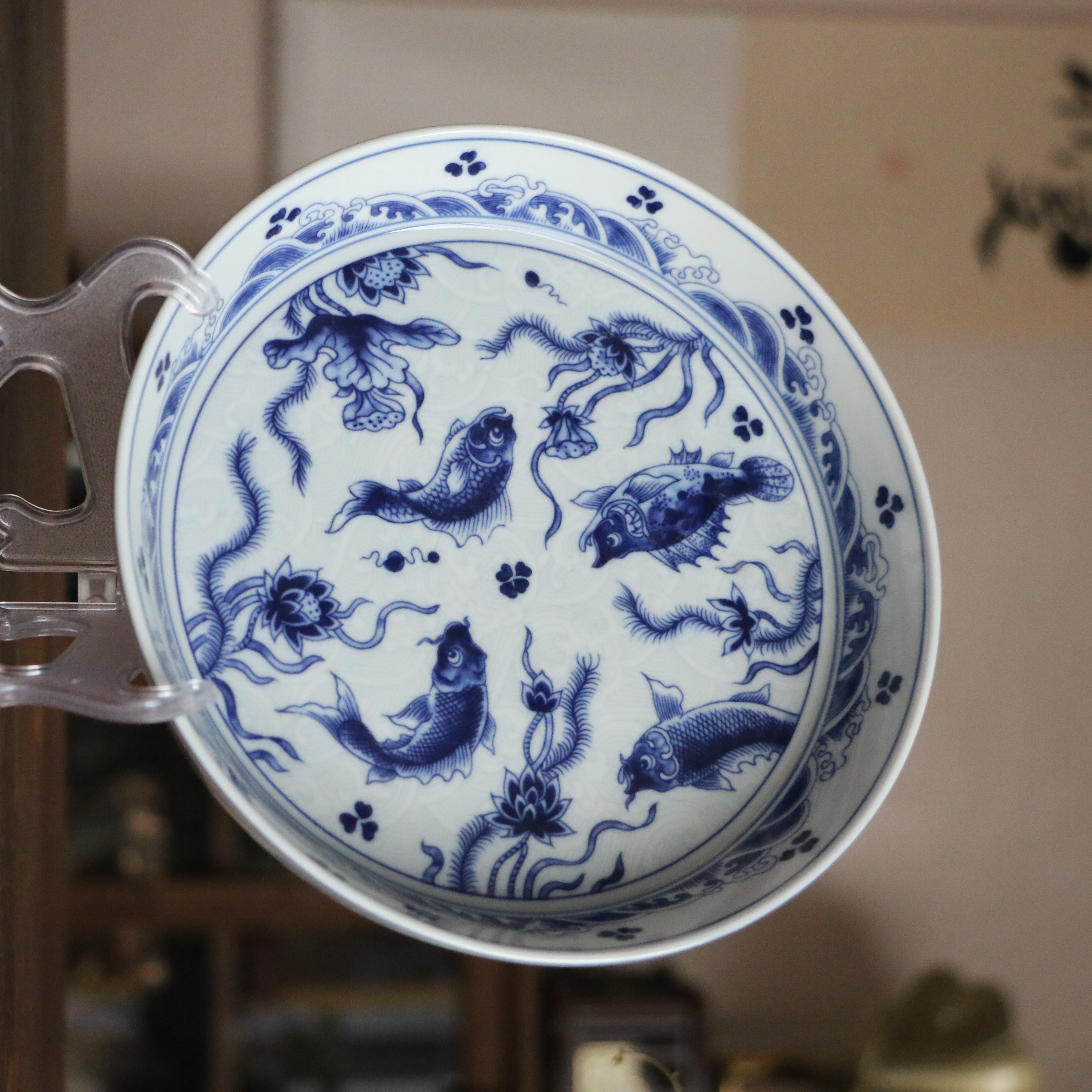 淡海水鱼藻-大壶承18cm