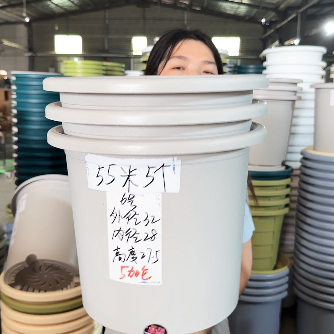 微瑕6#无拖果绿色5个