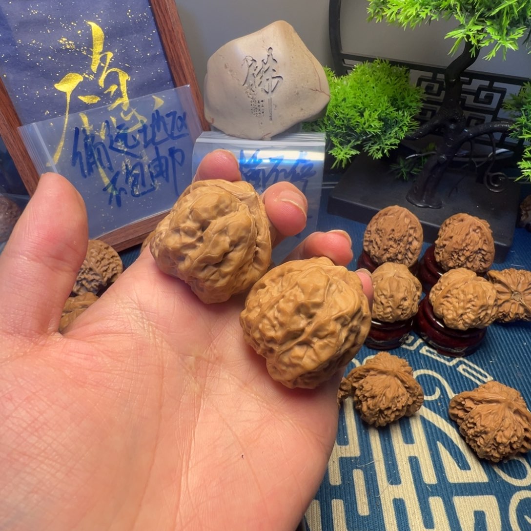 36白茬蛤蟆头核桃