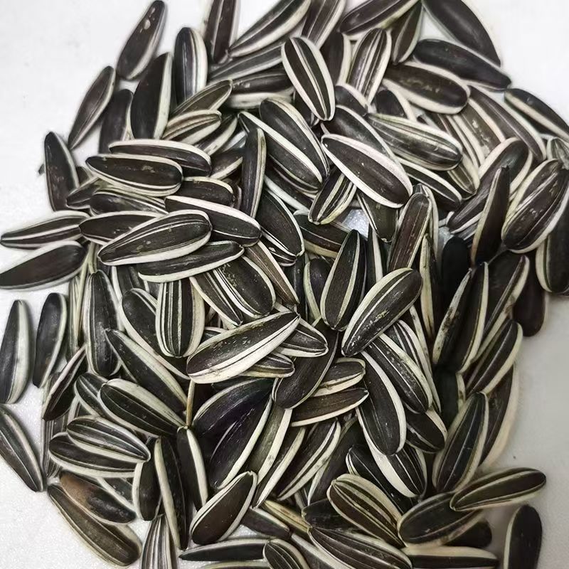 新货熟葵花子原味瓜子新鲜熟葵瓜子新鲜葵花籽批发2斤装/包邮