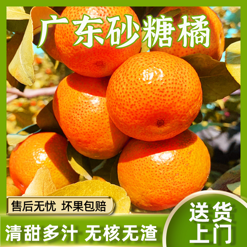 【次日送货上门】正宗增城砂糖橘3/5斤新鲜砂糖橘当季水果无籽无渣广东省