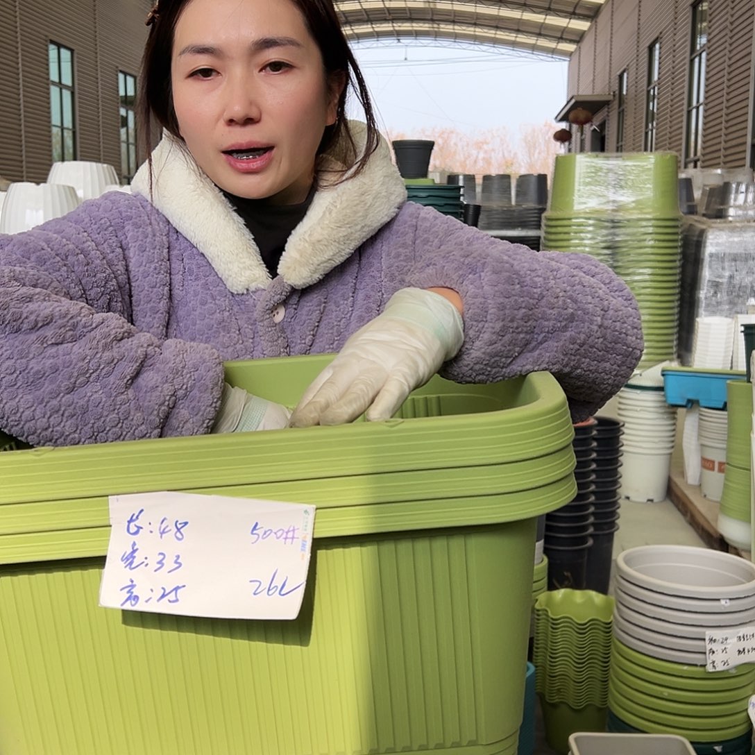 菜盆500#果绿3个无托
