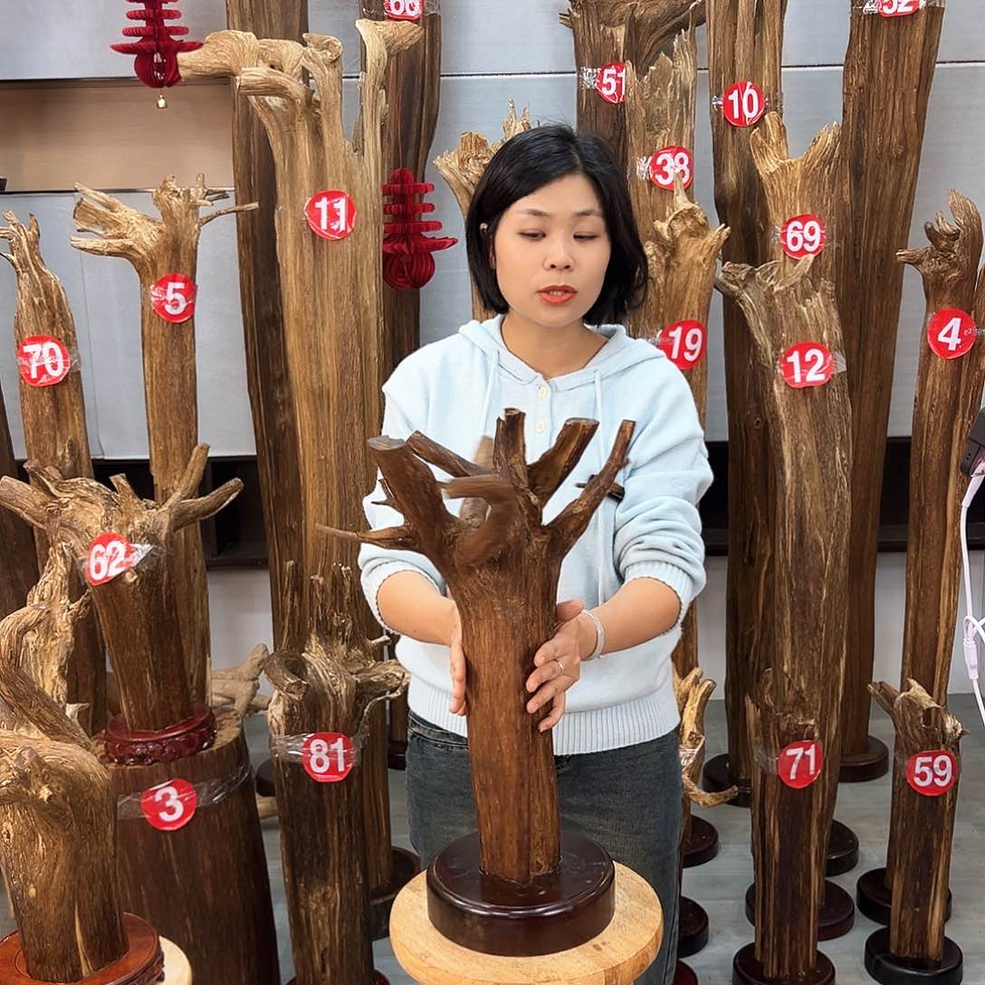 沉香摆件南****部海南沉香摆件