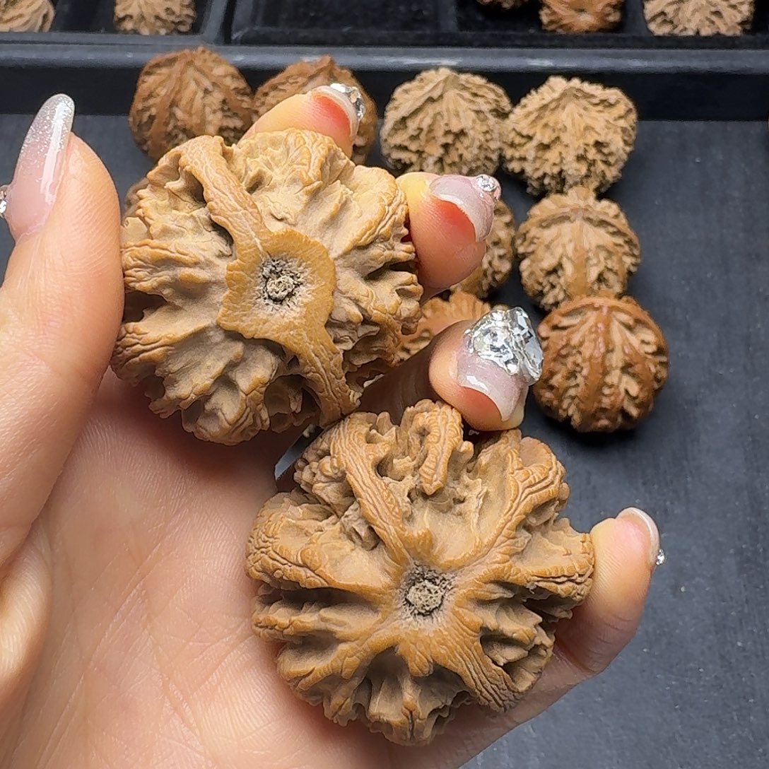 雲***岭桃木突突突突突突突