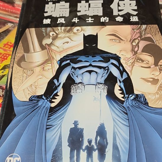蝙蝠侠披风斗士的命运，书衣瑕疵介意勿拍。