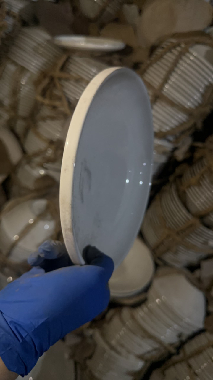 20.5厘米Crate&Barrel餐盘2个 出口强化瓷