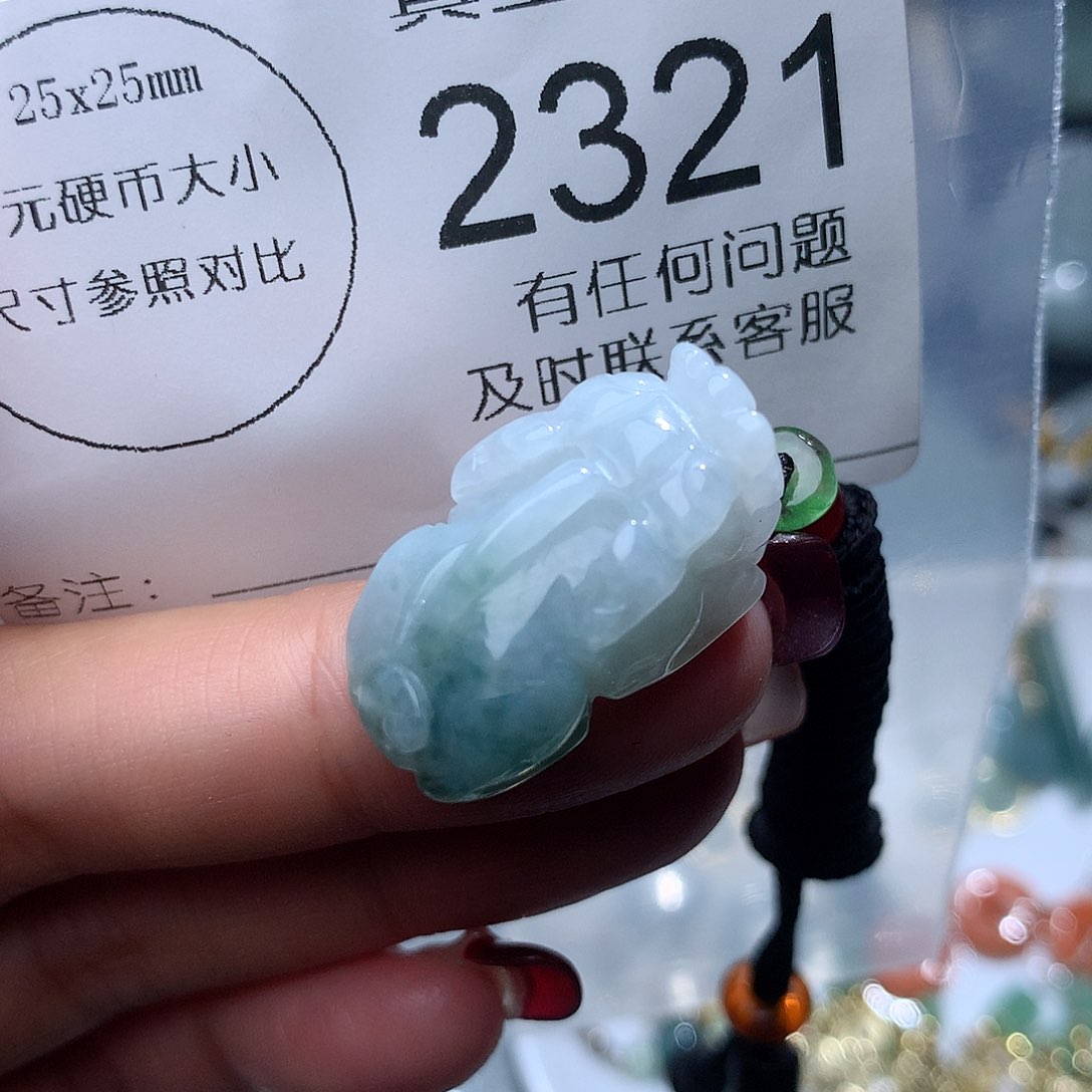 翡翠颈饰未镶嵌2321。