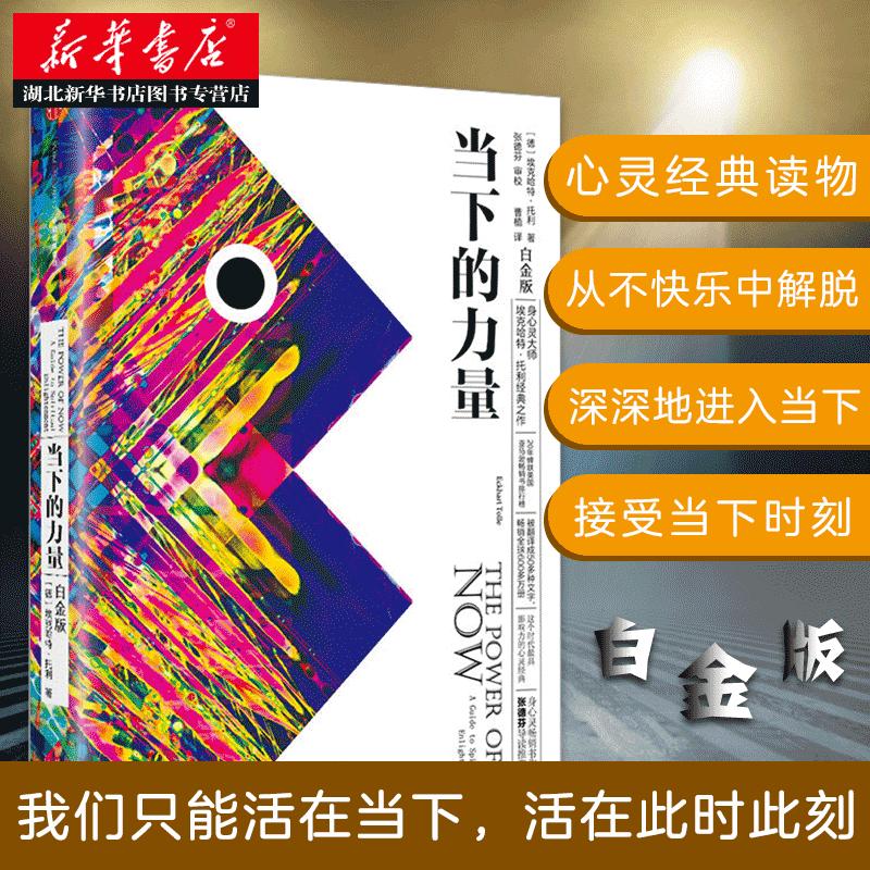 当下的力量 新版白金版给每一个焦虑抑郁压力大的年轻人