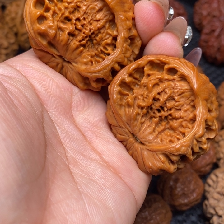 秦岭野生0000000048