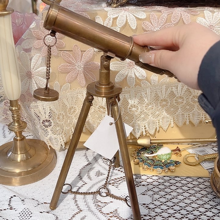 高货老家摆件绿植