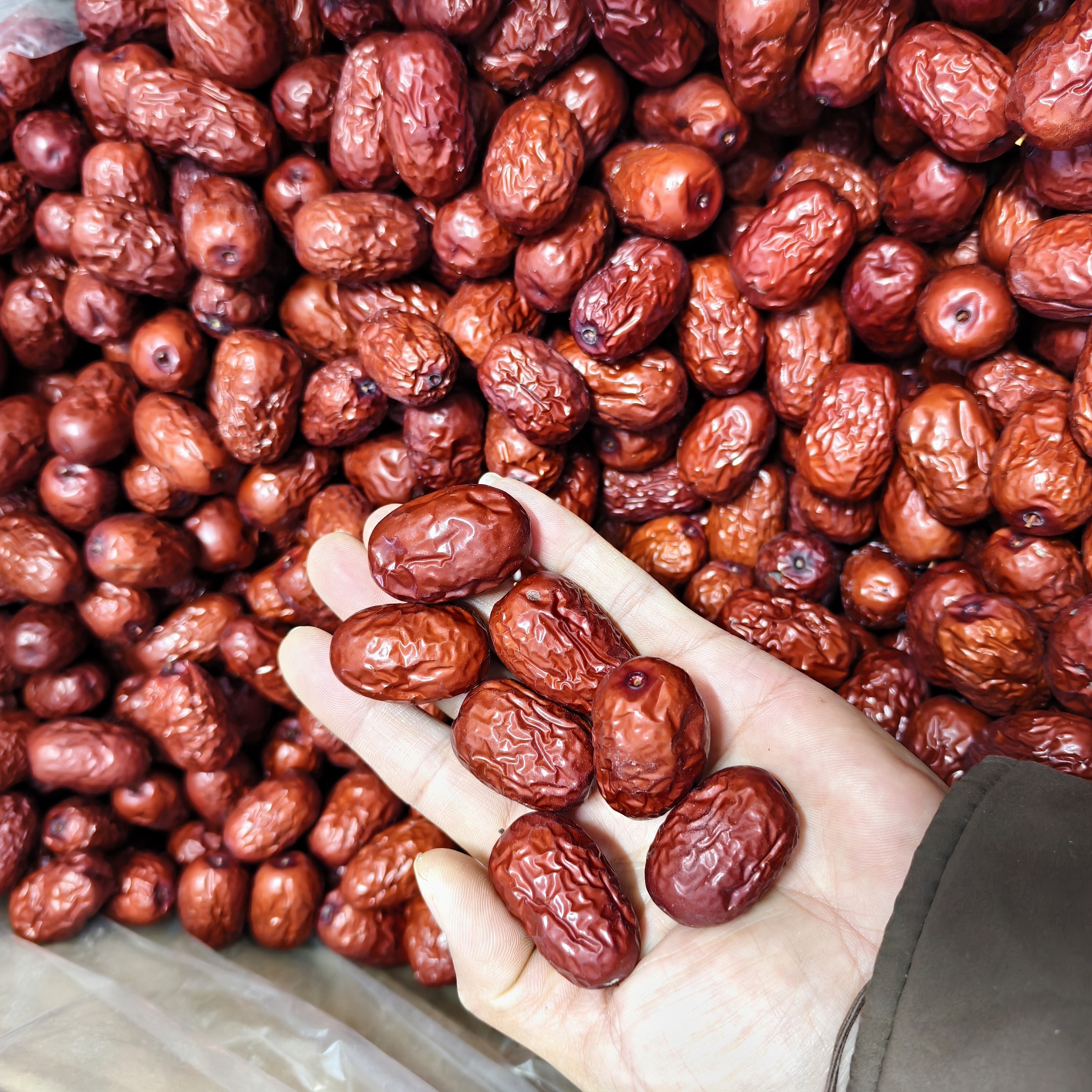 中宁灰枣 煲汤煮粥零食特产新枣 软糯香甜