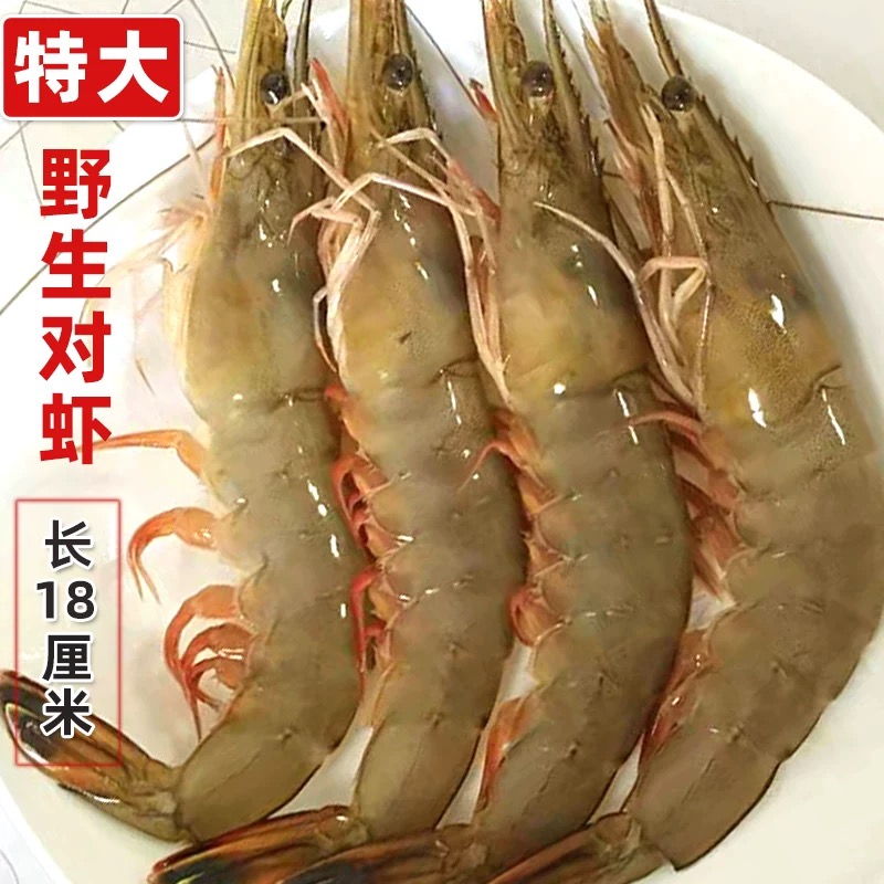 20-30规格  大连野生东方虾   一斤10条   顺丰冷链包邮   3斤