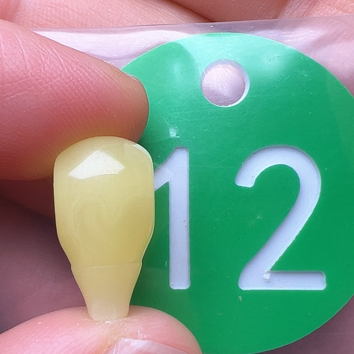 蜜蜡裸石未镶嵌8.7m m