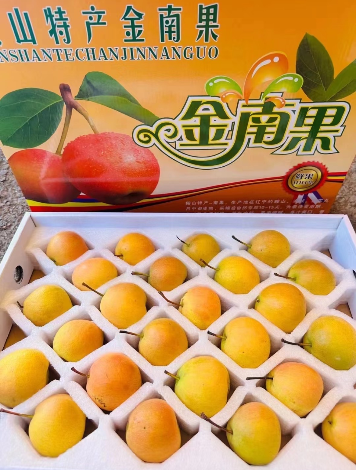 鞍山红南果梨高山阳面果精品礼盒装施豆饼发酵肥包邮