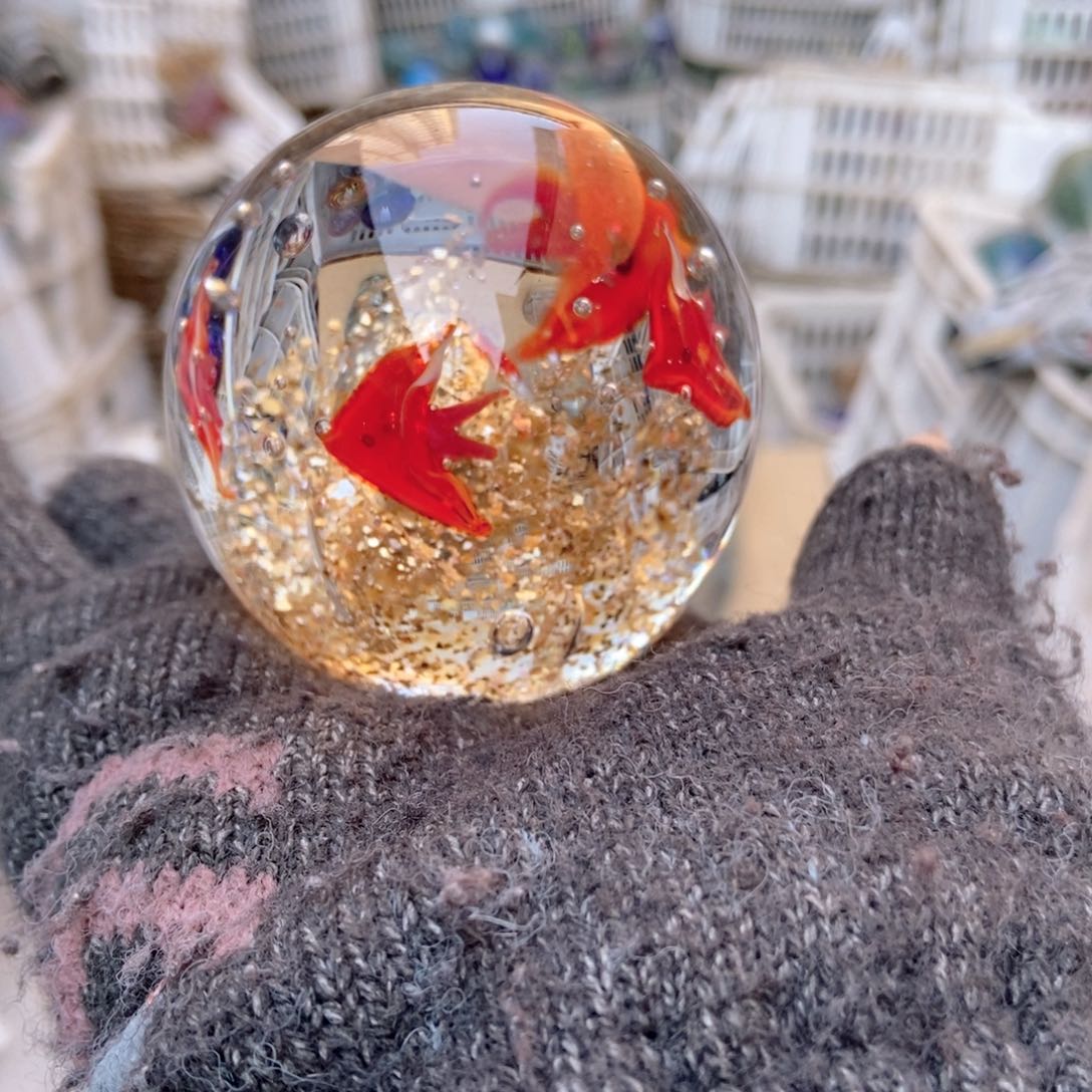 精品555888888855585565