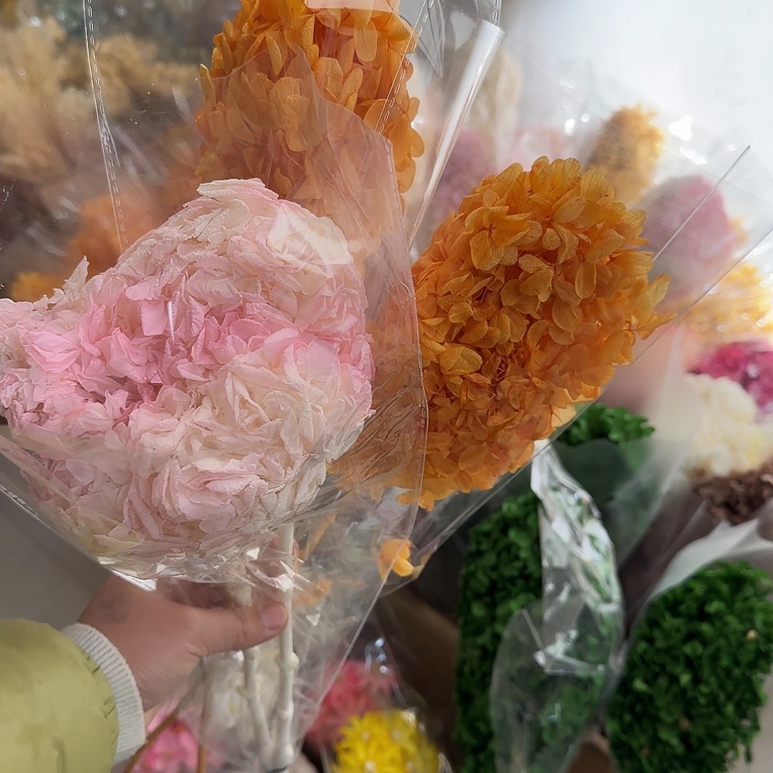 K42号白粉加橙色3枝