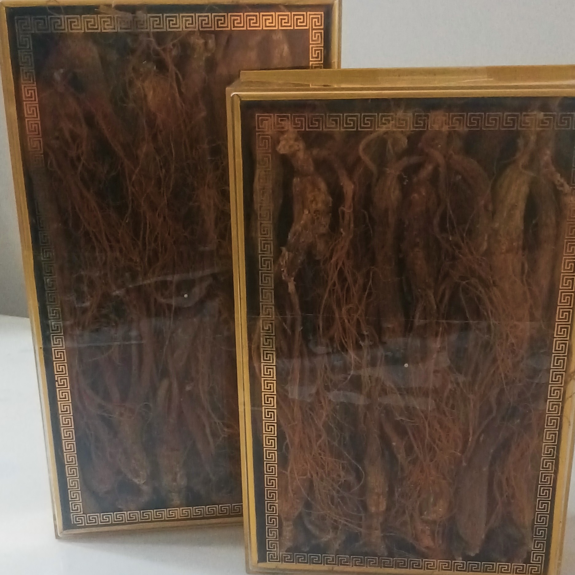 长白山移山参蒸制红参泡水佳品
